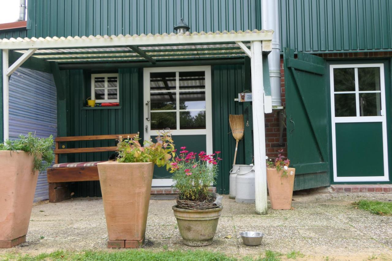 Ferienwohnung Weideglueck Osten 外观 照片